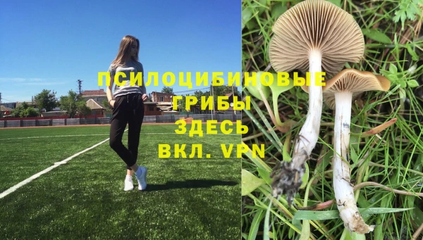 трава Абинск