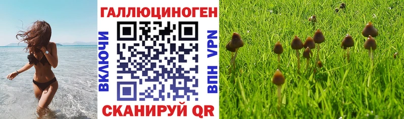 даркнет сайт  Подпорожье  Галлюциногенные грибы Magic Shrooms 