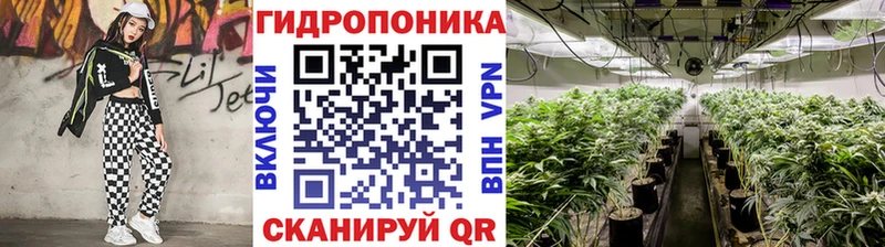 Бошки Шишки семена  Подпорожье 