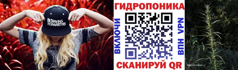 Каннабис индика Подпорожье